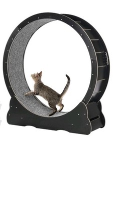 ! 4 Varianten ! CanadianCat - Katzenlaufrad aus Holz - Indoor Katzenrad Laufrad