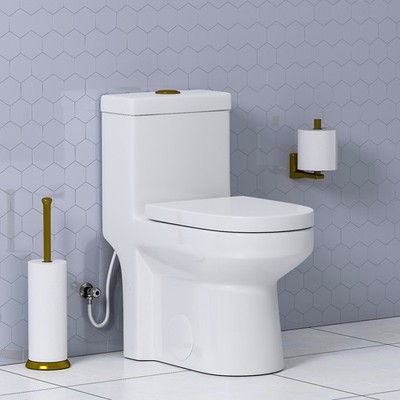 HOROW One Piece Toilet 1.1/1.6 GPF Dual Flush 12'' Rough-In Bowl for Bathroom