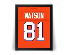 Comparar con la foto de fútbol americano Steve Watson Denver Broncos - 8x10 11x14 o 16x20 JZ