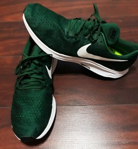 pegasus 35 green
