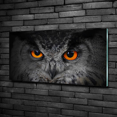Wandbild aus Plexiglas  Druck auf Acryl 100x50 Tiere Teufelsaugen Eule