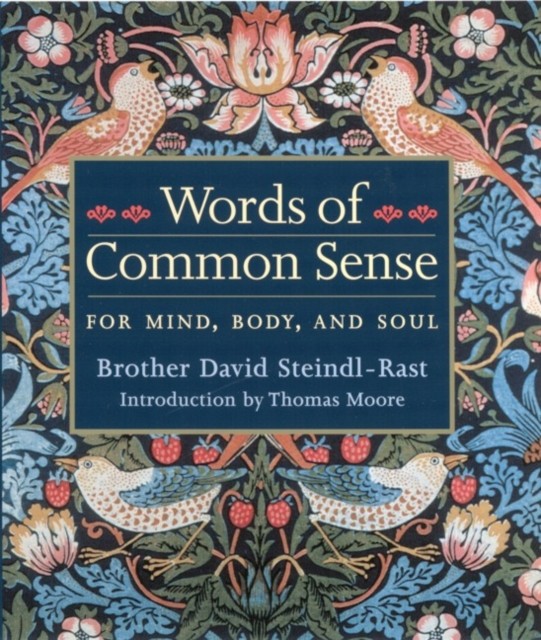 Words Of Common Sense by Brother David Steindl-Rast HARDBACK 9781890151980