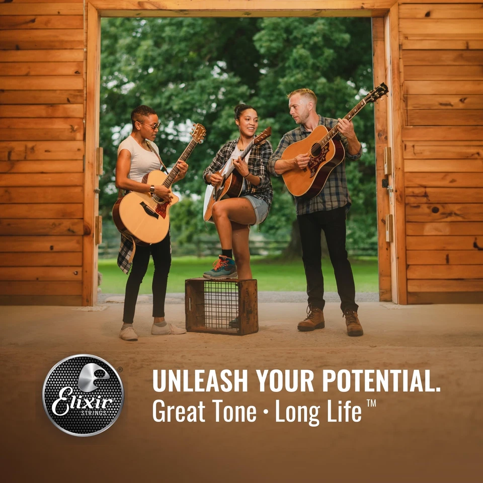 Elixir 12 String Acoustic Guitar Strings Phosphor Bronze Light Gauge 010 047 - Image 3 of 4