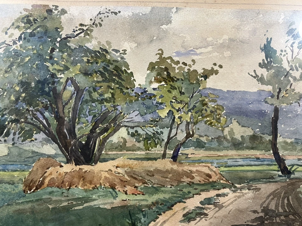 André MUGNIER (1875-1920) États-Unis Louisiane Etude d'Arbre Bâton-Rouge USA - Photo 2/4