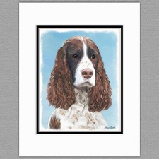 English Springer Spaniel Original Print 8x10 Matted to 11x14