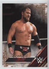 2016 WWE Tag Team Championship Bronze Michael Mcgillicutty Curtis Axel Patch 0w6