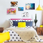 Bild 6 von 6