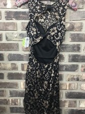 Windsor Women's Dress size XS Lace Casual Evening Party Cocktail  NWT! AL