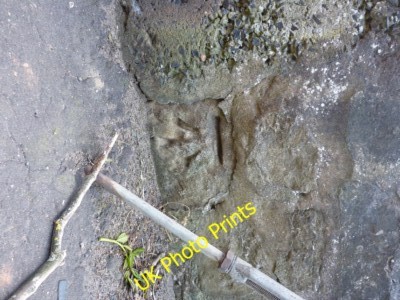 Photo 6x4 OS benchmark - Lower Largo, Harbour Wynd An OS cutmark on the r c2015