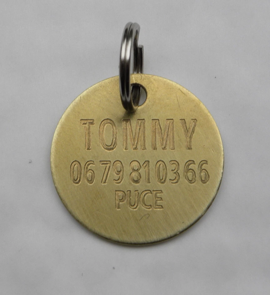 MEDAILLE pour chien en laiton 32 mm gravure 1 ou 2 faces - Photo 1/1