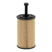 Filtron ÖLfilter Filtereinsatz Passend FüR CitroËN Berlingo C2 C3 Saxo Xsara