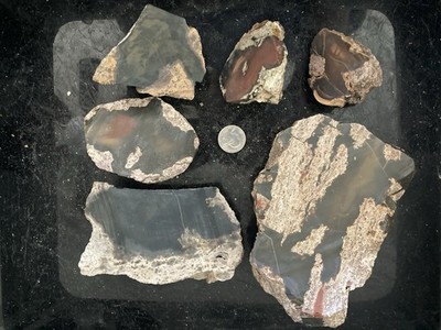 Bruneau Jasper Rough- 5lbs+ Hand Picked- Dark Face Cut Pieces in Matrix #116
