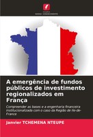 Janvier Tchemena Nteupe | A EmergêNcia De Fundos PúBlicos De Investimento...