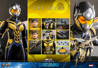 Hot Toys MMS691 Ant-Man and the Wasp: Quantumania 1/6 The Wasp Action Figure Toy
