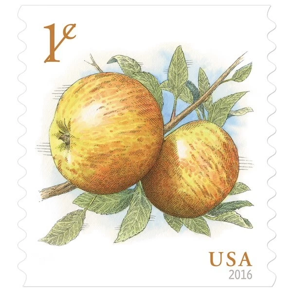 US # 5037 Apples $0.01 (2017) - Coil Roll of 100 Postage Stamps, BRAND NEW! - Image 2 of 3