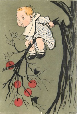 C-1910 Sancha child apple tree humor undivided Postcard 24-9958