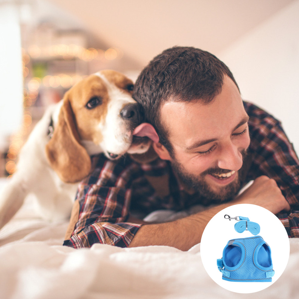 Imbracatura per Cani con Guinzaglio foto 6