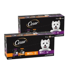 Cesar Wet Dog Food Filets in Gravy Variety Pack 40x1.76oz Filet Mignon Chicken