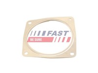 Fast Dichtung, Abgasrohr FT84815 FüR CitroËN Passend FüR Fiat Lancia Peugeot