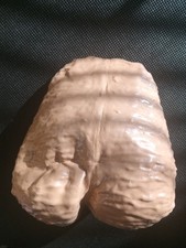 Realistic Fake CBT Crushed Latex Testicles Balls Nuts Scrotum Ball Sac Sack