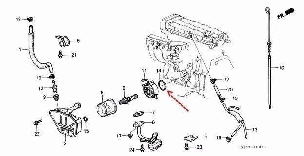 2x Junta tórica de enfriador de aceite genuina Honda Acura OEM 62,4 x 3,1 (91316-PE7-730 Foto 2 de 4