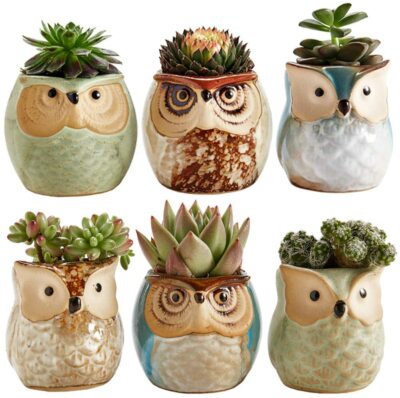 ROSE CREATE 6 PCS Owl Pots 2.5 Inch, Owl Planter / Mini Ceramic Succulent Pots