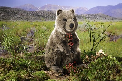Kösen 7850 Quokka 32 cm
