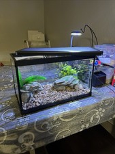 5 Gallon Aquarium / Fish Tank Startup Kit with Light Gravel and Decor LED Light