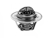 Thermostat Rover 200