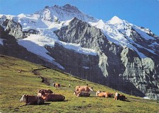 SWITZERLAND GRINDELWALD SPORTS CENTRE