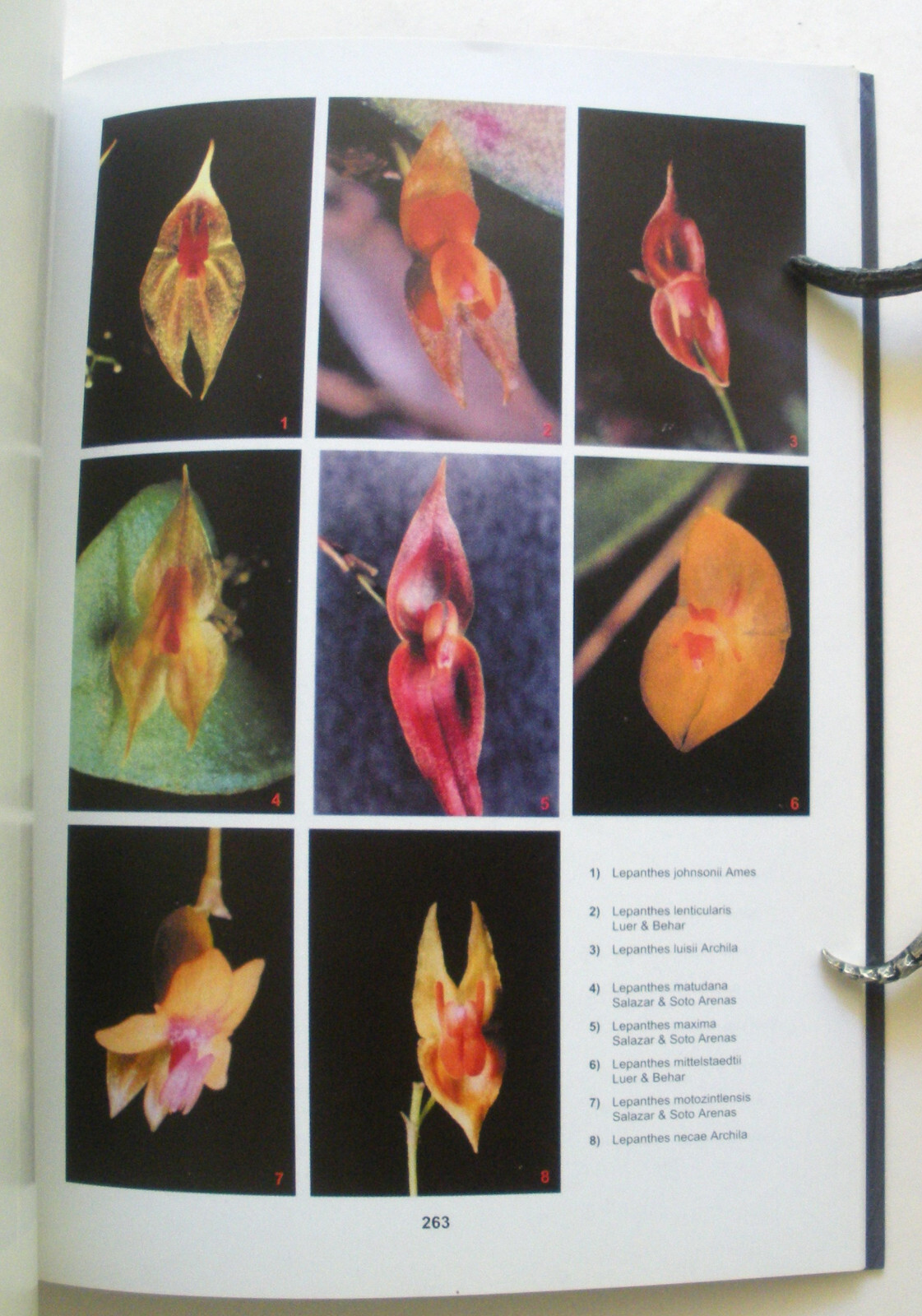 Picture 6 of 8
