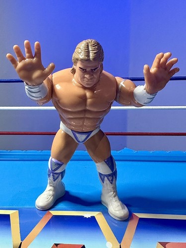 Excellent Condition WWE WWF Hasbro Series 8 - Lex ...