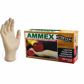 AMMEX Stretch Synthetic Ivory Vinyl Latex Free Gloves (Case of