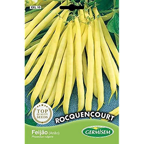Germisem Rocquencourt Semi di Fagioli Francesi 100 g (v7U)
