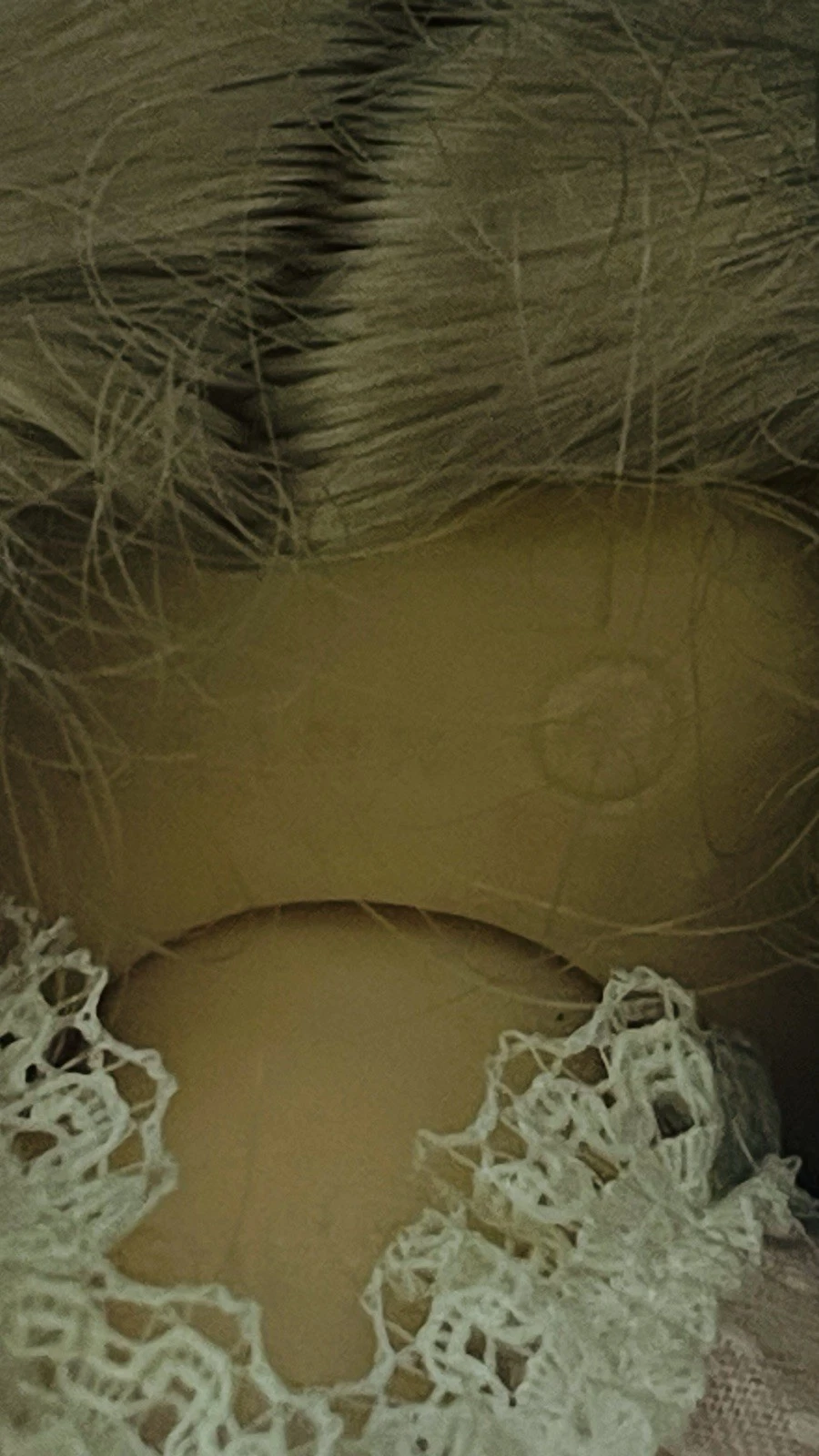Picture 6 of 15