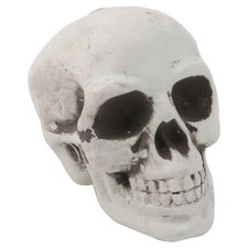 Plastic Human Mini Skull Decor Prop Skeleton for Head Halloween Coffee Bars Orna