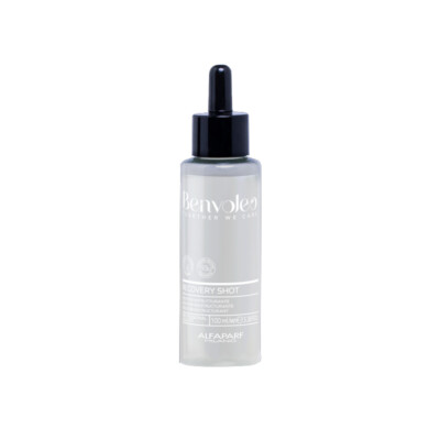 Behandlung Reparateur ALFAPARF MILANO Benvoleo Recovery Shot 100ml
