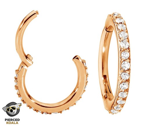 2Pcs Surgical Steel Gem Hinged Segment Septum Tragus Nose Ring Sleeper Earrings - Picture 4 of 15