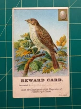 Cadbury Cocoa trade card - Reward card - Flycatcher