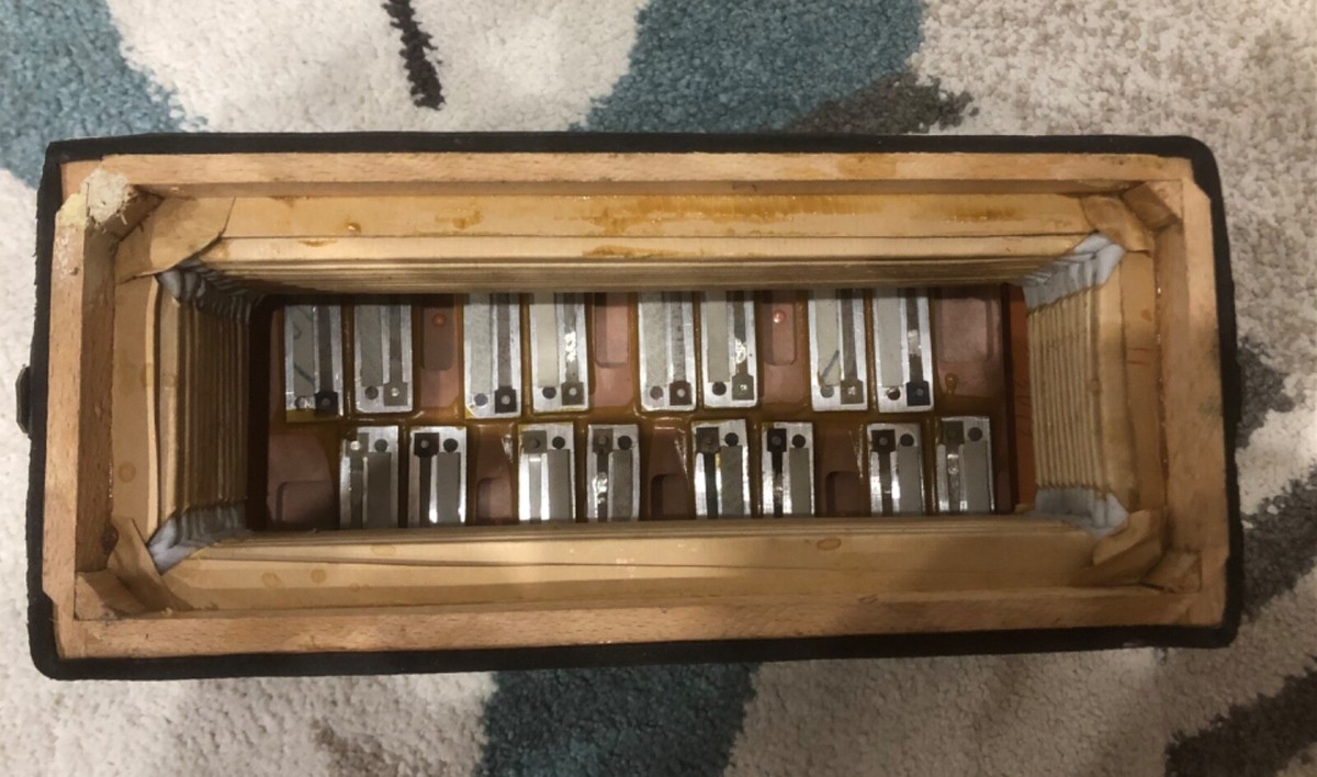 Busy Boys - Renita / Classical (レアミドル)￼ Busy Boys - Renita / Classical (レアミドル)￼ 【公式通販】