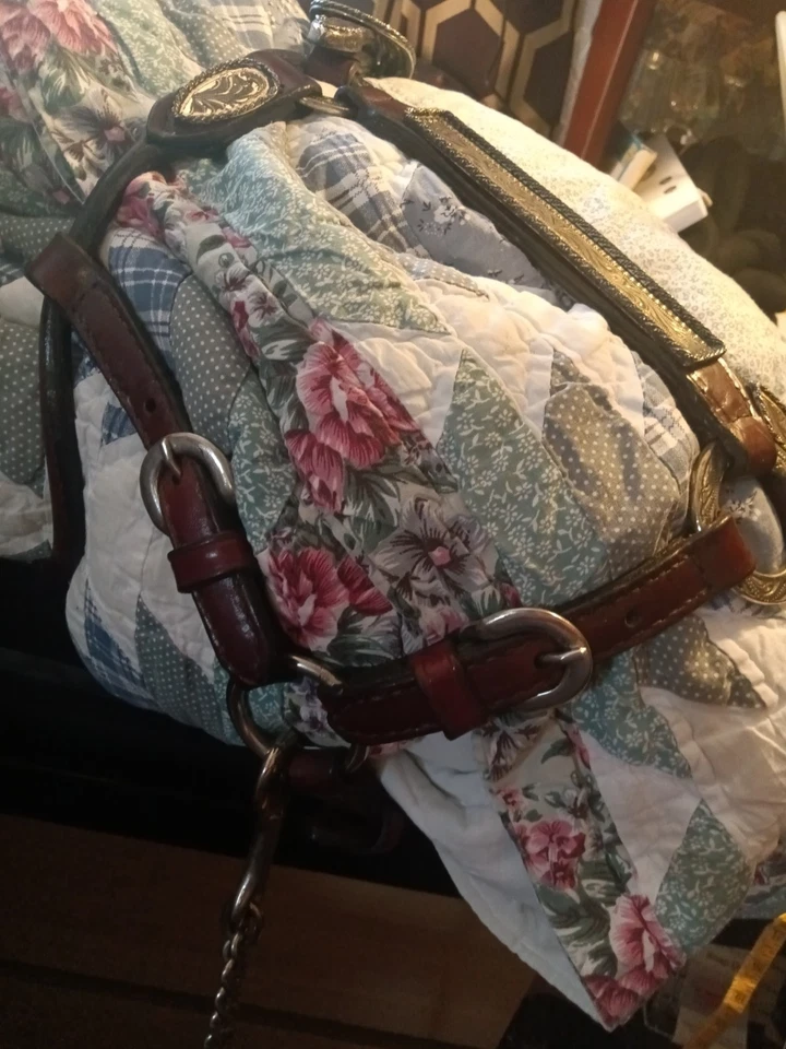 STUNNING Custom Made. Markings-Mexico-German Silver / HALTER & LEAD~Showmanship - Image 3 of 4