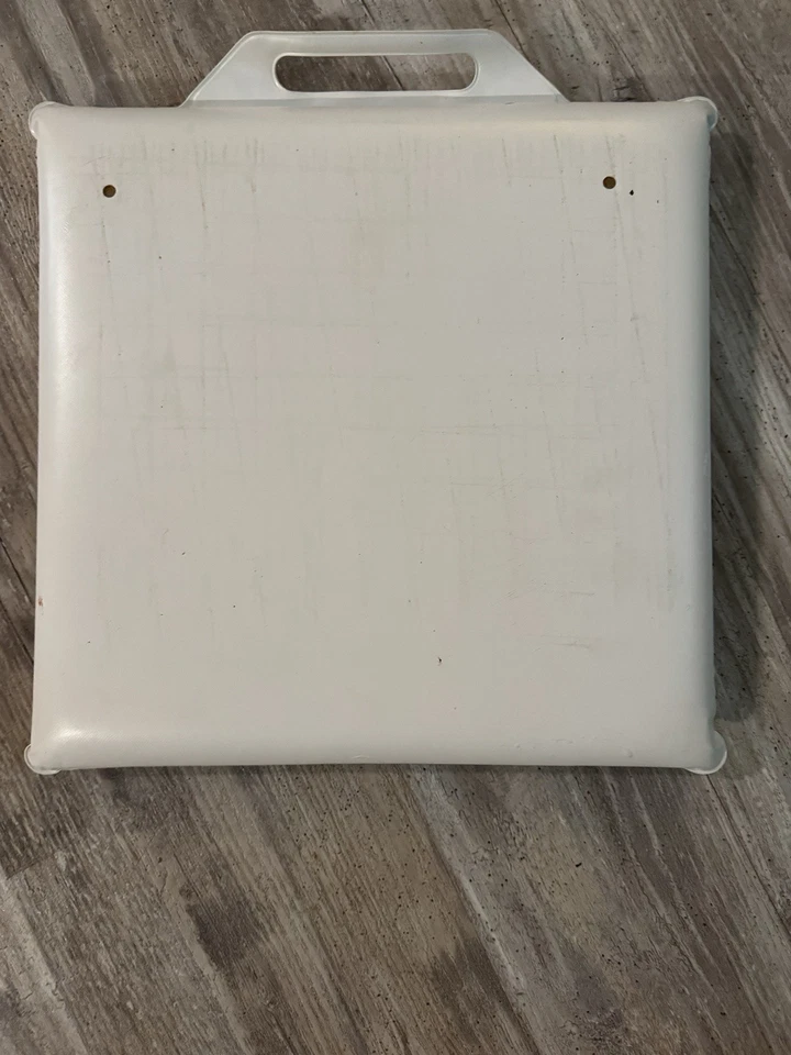 Calcetines rojos Boston vintage City of Palms Park Fort Meyers FL COJÍN ESTADIO Foto 2 de 2