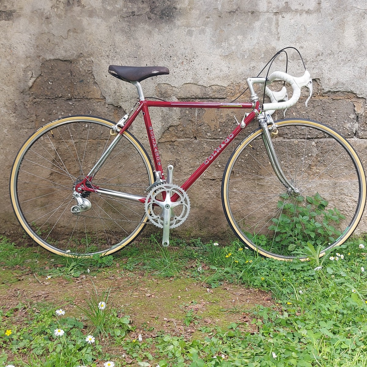 COLNAGO Master Red Saronni 49cc Campagnolo Croce D'Aune San Marco