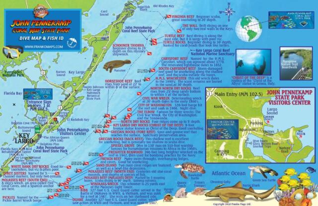 Coral Identification Chart