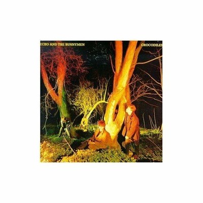 Crocodiles CD Echo  the Bunnymen
