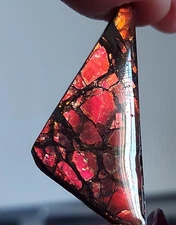 Ammolite  Ammonite Coated Stone Color Changer 40.3x18.2x4mm 19022