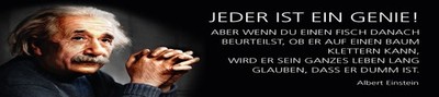 Holzschild 10x46 cm Einstein Zitat  Jeder ist ein Genie Deko Geschenk  Schild