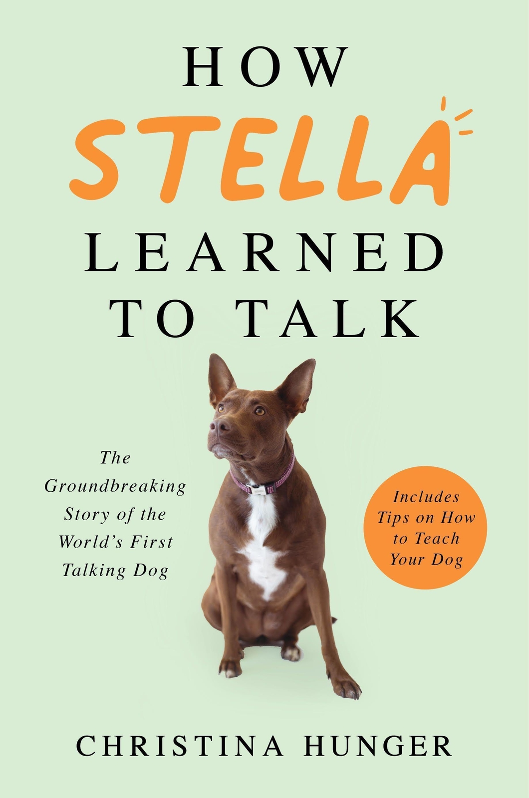 Thumbnail - How Stella Learned To Talk | Christina Hunger | Taschenbuch | X |