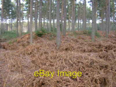 Foto 6x4 Schanze am Crowthorne Wood Dies ist eine von mindestens vier Schanzen um 2009