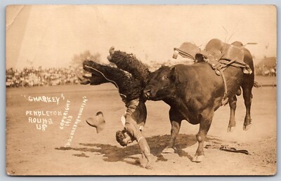 Postcard Sharkey Pendleton Round Up 1913 Bucking Bull Oregon RPPC B187
